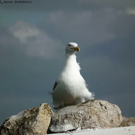 Lägenhet Cozyhome - Cabanas De Tavira