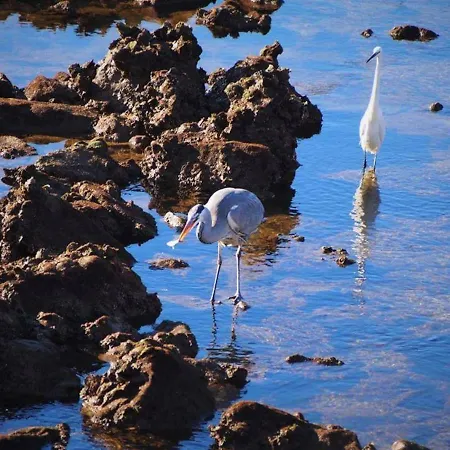 Cozyhome - Cabanas De Tavira