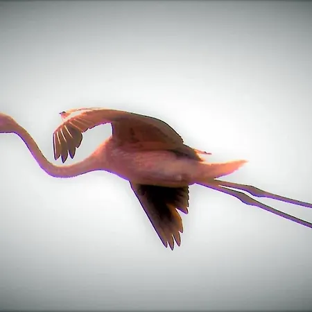 Cozyhome - Apartamento Cabanas De Tavira