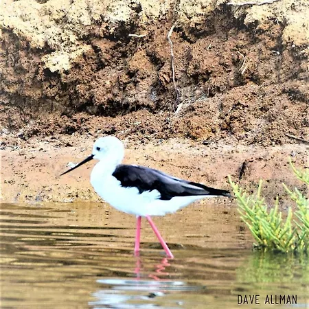 Apartamento Cozyhome - Cabanas De Tavira