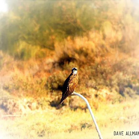 Apartamento Cozyhome - Cabanas De Tavira