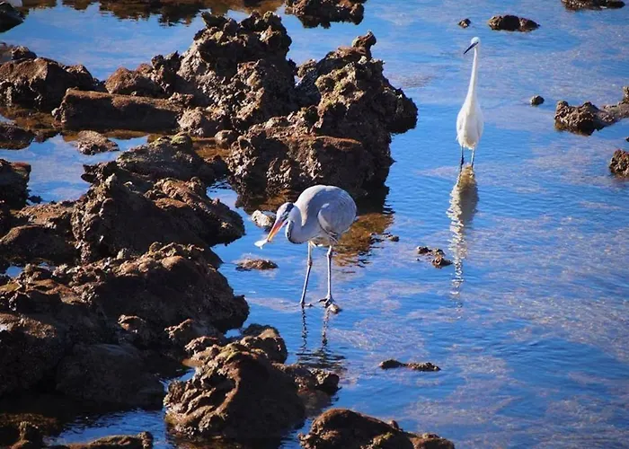 Cozyhome - Cabanas De Tavira