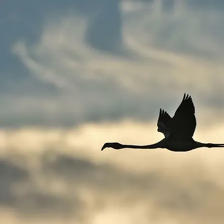 Cozyhome - 公寓 卡巴纳斯·德·塔维拉