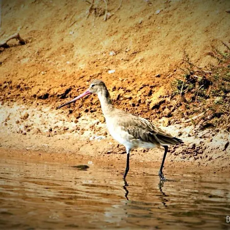 Cozyhome - * 卡巴纳斯·德·塔维拉