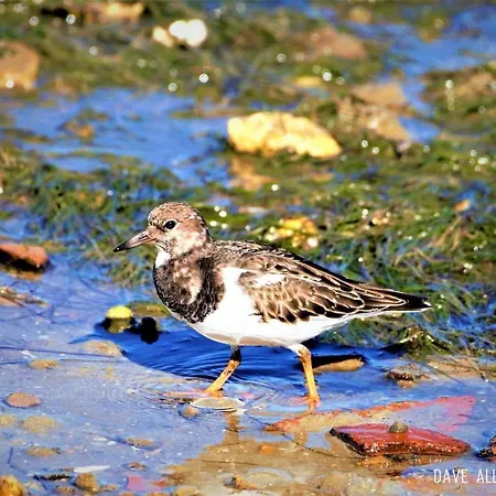 Cozyhome - Appartement