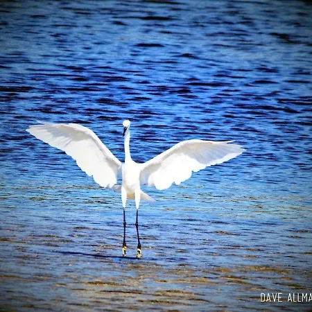Cozyhome - Appartement *