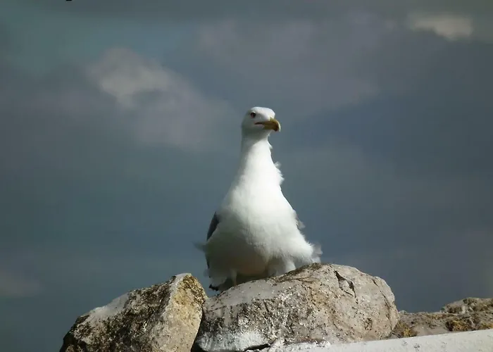 Apartmán Cozyhome - Cabanas De Tavira