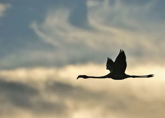Cozyhome - Apartmán Cabanas De Tavira