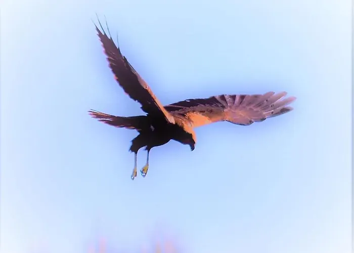 Apartmán Cozyhome - *