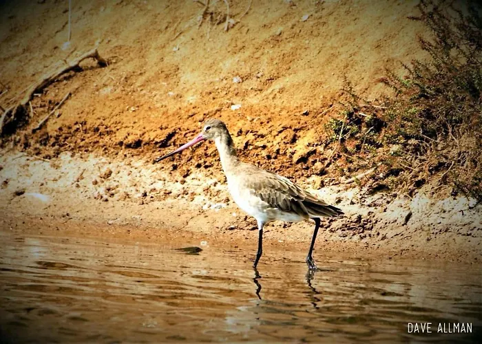 Cozyhome - * Cabanas De Tavira