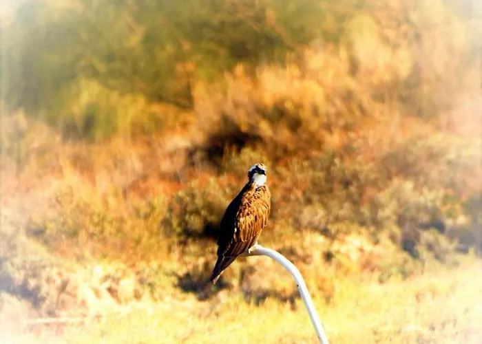 Apartmán Cozyhome - Cabanas De Tavira