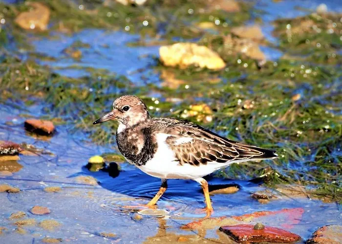 Cozyhome - Apartmán