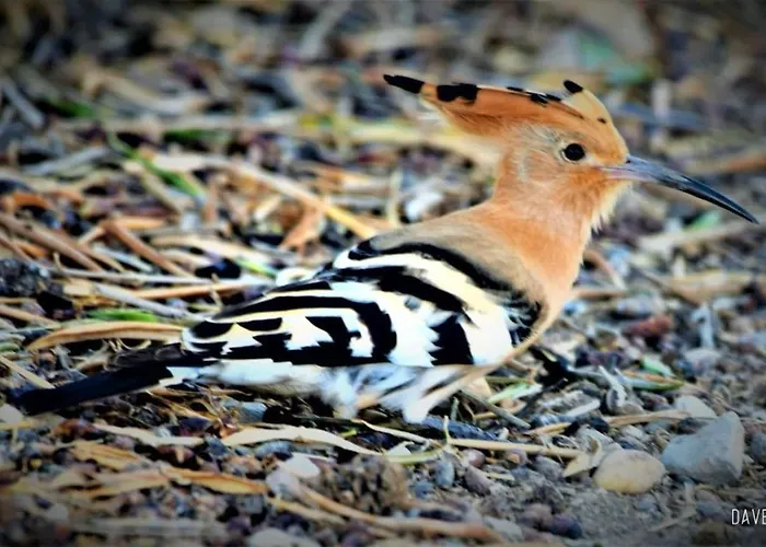 Cozyhome - Apartmán *