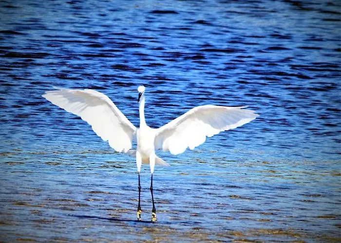 Cozyhome - Apartmán *